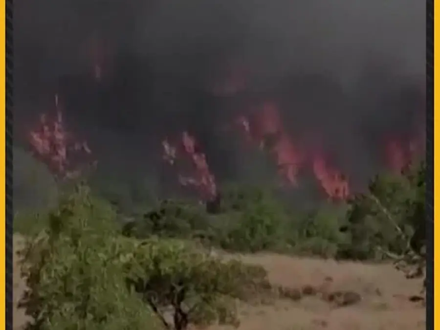 Chile Orders Evacuations as Forest Fires Threaten Southern Regions 
