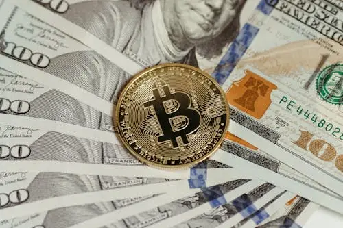 Bitcoin as financial refuge and resistance