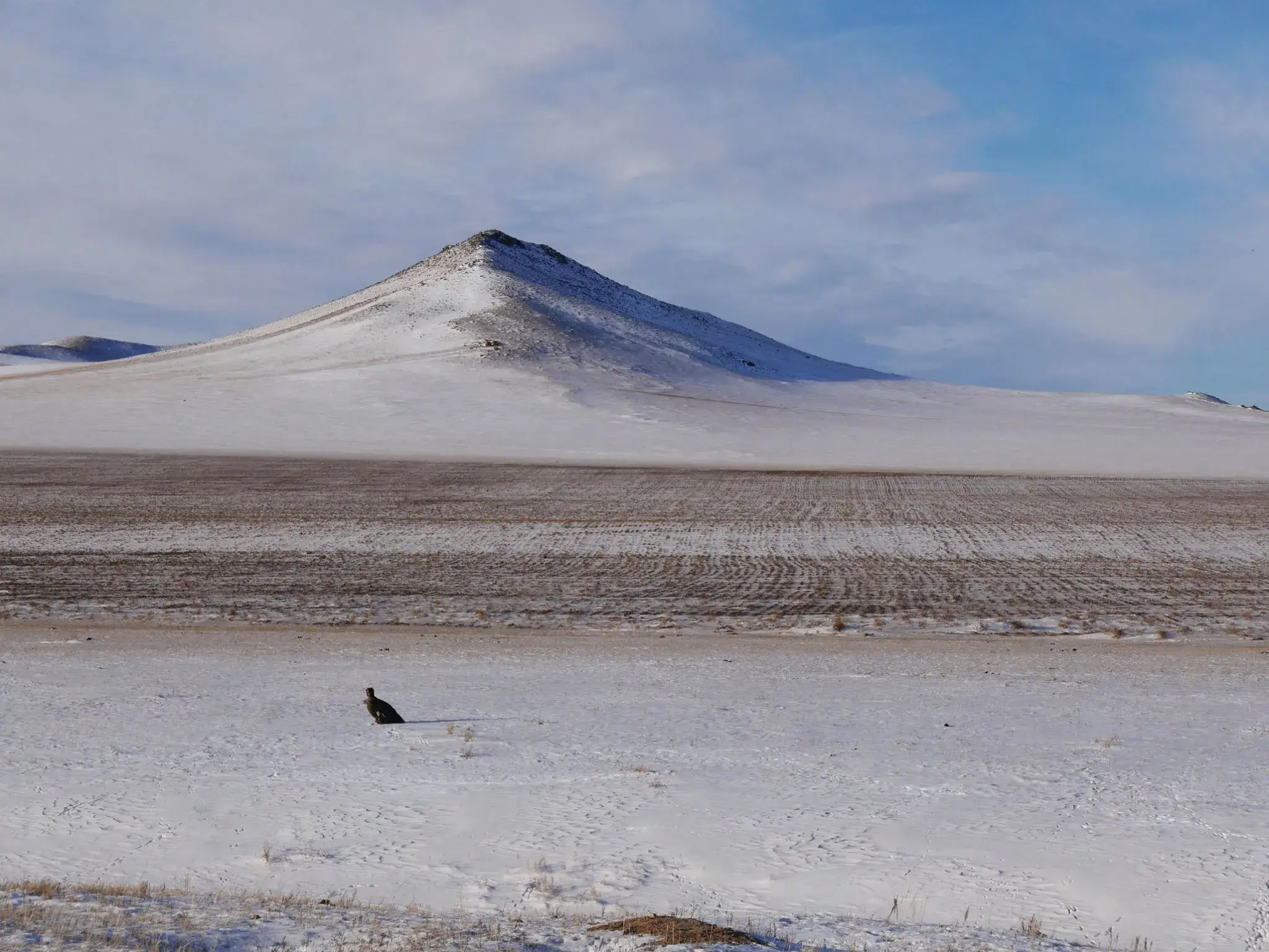 Ulaanbaatar, Mongolia The world’s coldest capital