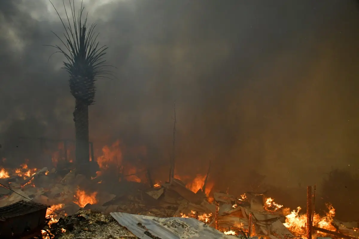 The 2024 wildfires killed 138