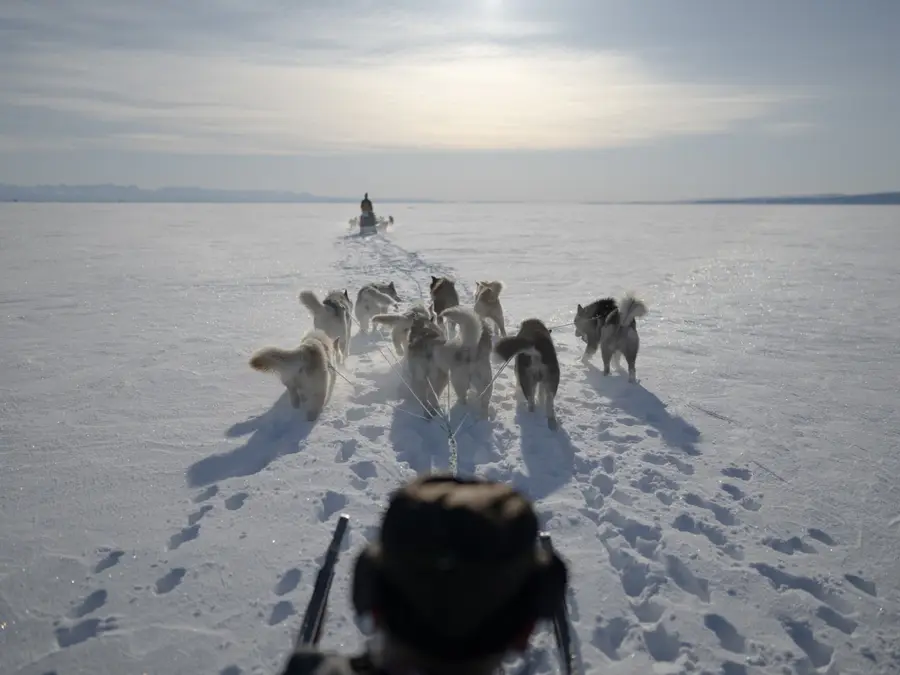 Political row erupts as Greenland dog sled federation disinvites US Envoy Jeff Landry