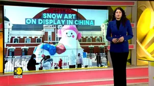 China’s Giant Snow Sculptures Go Viral As Winter Art Takes Centre Stage | WION Climate Tracker 