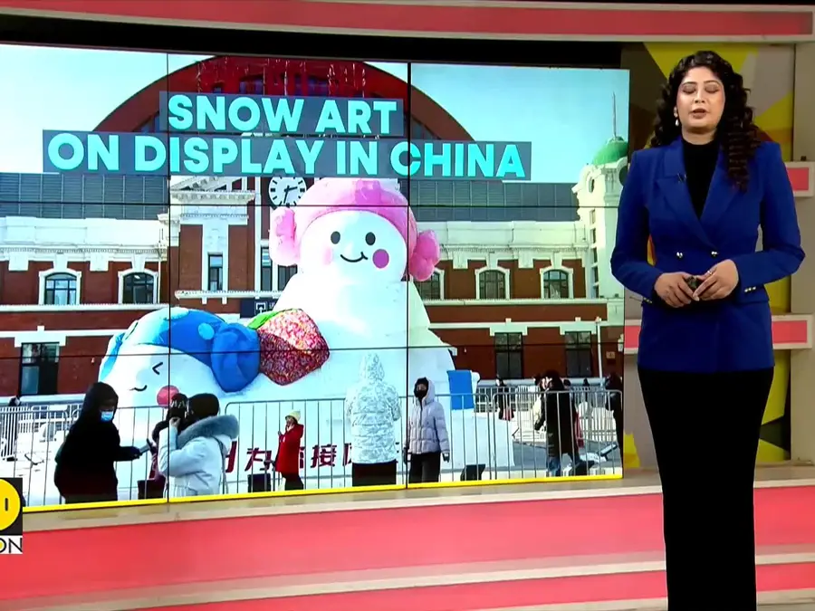China’s Giant Snow Sculptures Go Viral As Winter Art Takes Centre Stage | WION Climate Tracker 