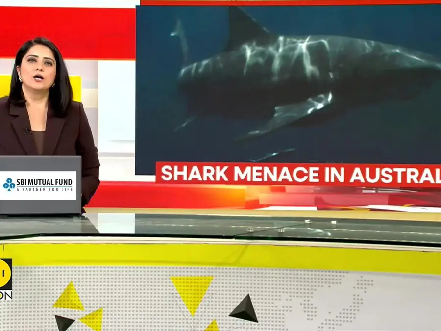 Australia Reports Four Shark Attacks in 48 Hours, Drones Deployed