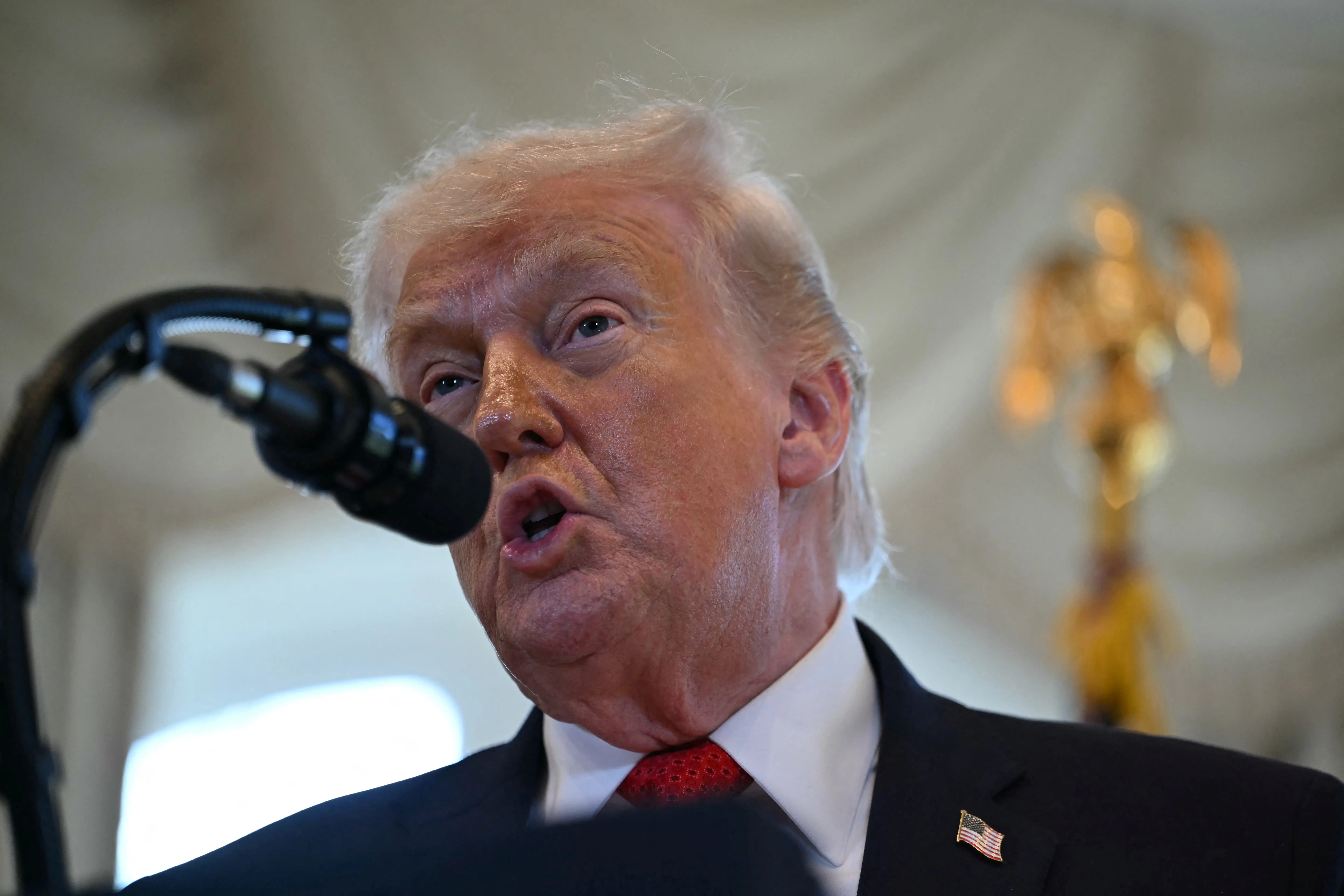 ‘These people are professionals!’ Trump blasts ‘insurrectionists’ who stormed Minnesota church, calls Tim Walz ‘corrupt politician’