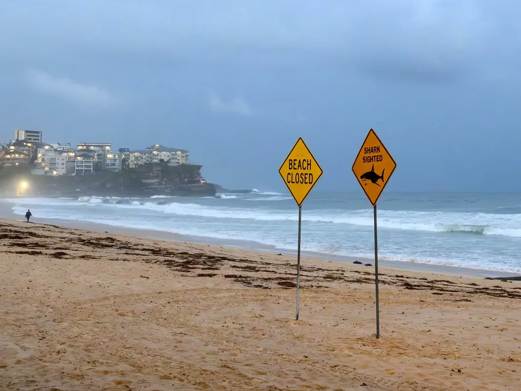 Fourth shark attack in 48 hours forces beach closures in Australia’s New South Wales – What we know Fourth shark attack in 48 hours forces beach closures in Australia’s New South Wales – What we know