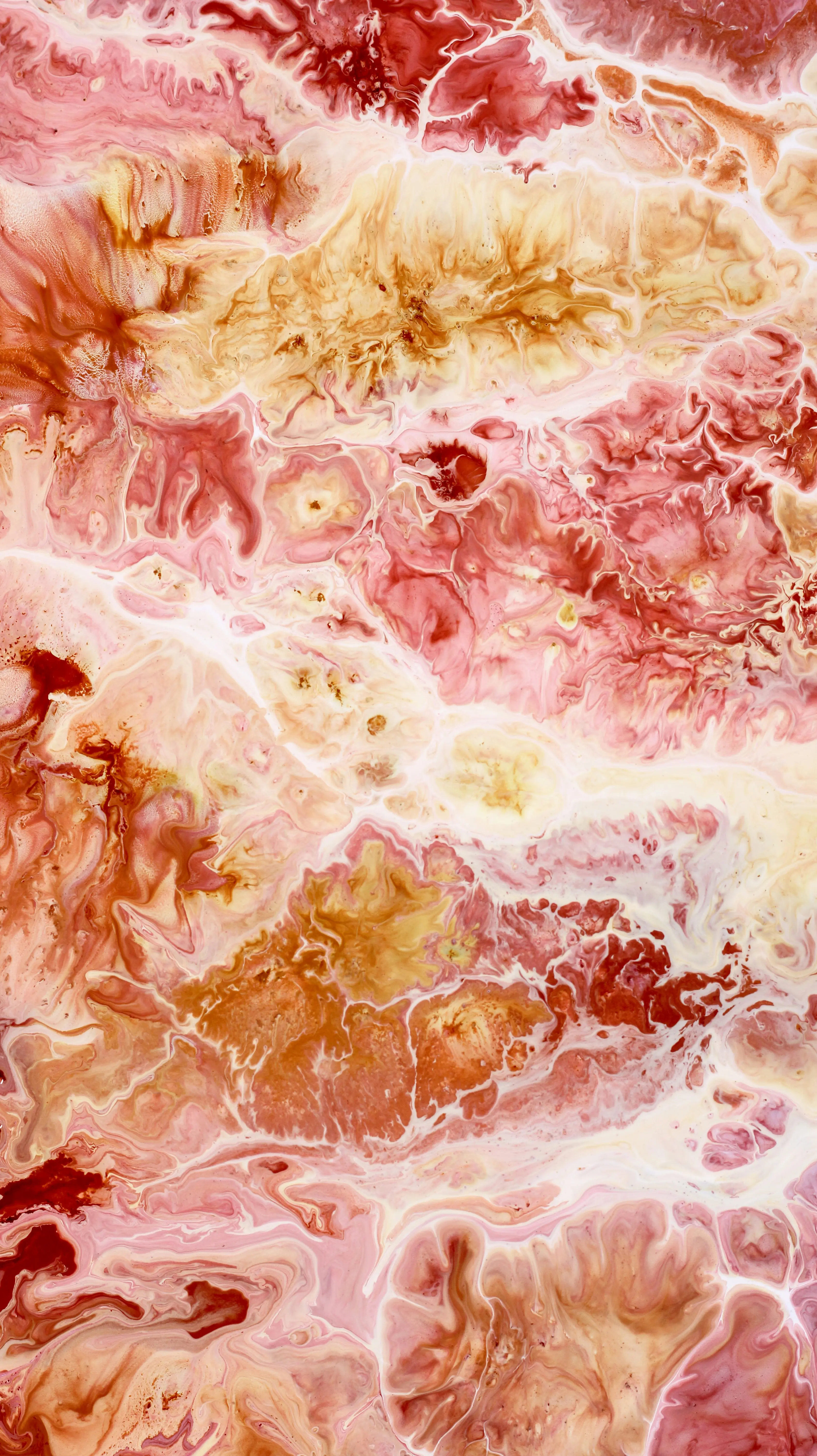 Fungal infection data in US