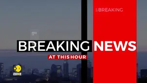 New Zealand Landslide: Multiple People Missing After Landslide 