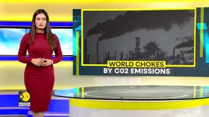 World Chokes on Record CO2: Half Traced to Fossil Fuels, Study Says 