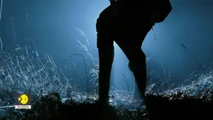 100 Pieces of Human Remains, a Historic Cemetery in Pennsylvania Becomes Focus of a Disturbing Crime