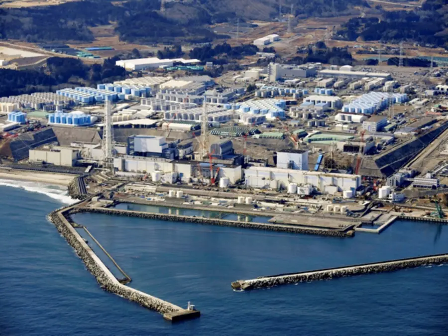 'Stable, no radioactive impact': Japan halts restart of world’s biggest nuclear plant