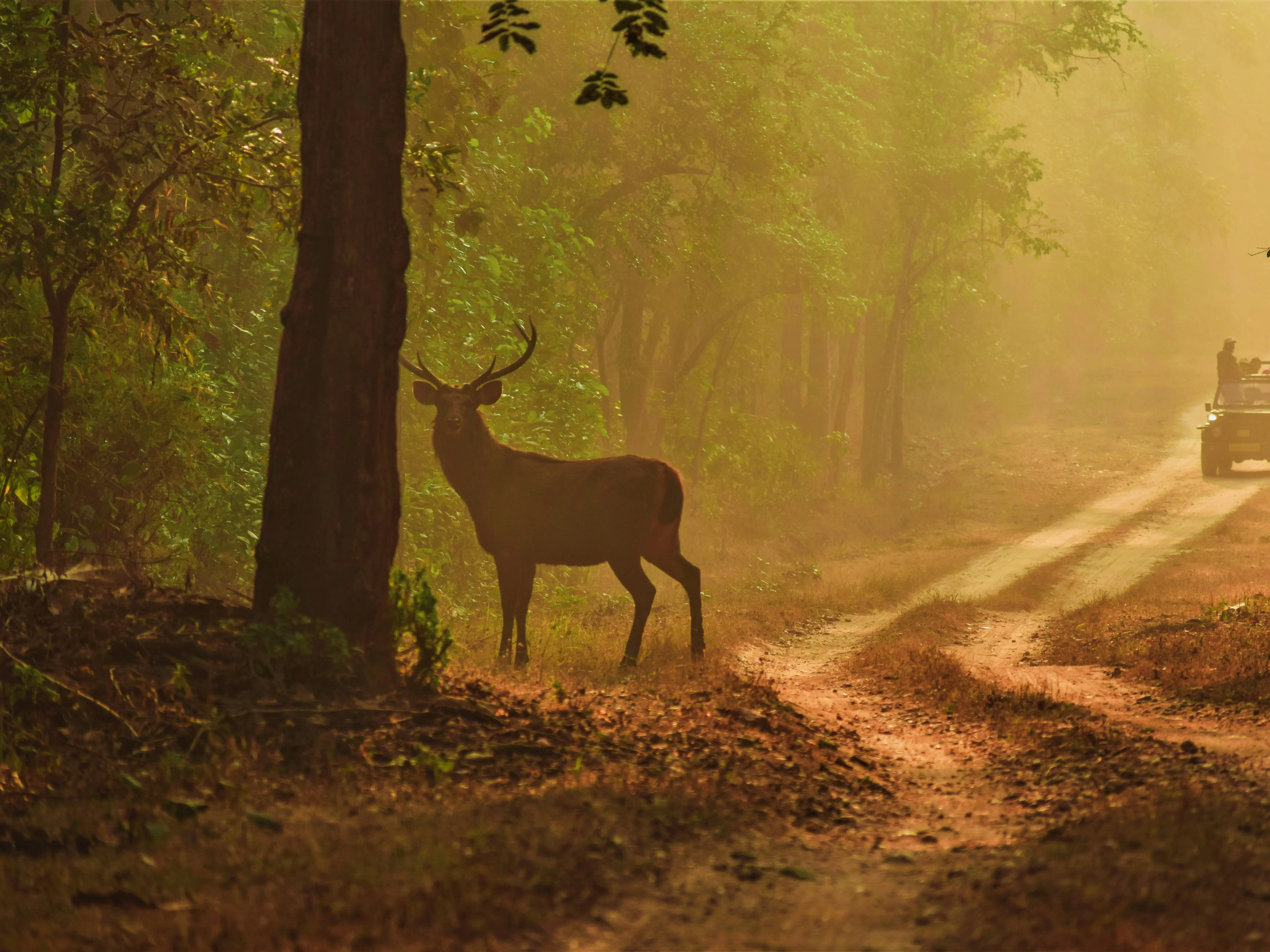 Republic Day 2026 Long Weekend: Top 10 Best Places to Visit From Delhi Republic Day 2026 Long Weekend: Top 10 Best Places to Visit From Delhi