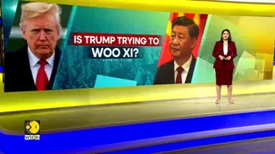 U.S. Treasury Secretary: Trump Likely to Meet Xi Four Times This Year