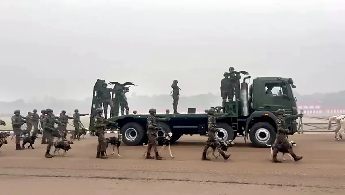 Return of the RVC Animal contingent showcase