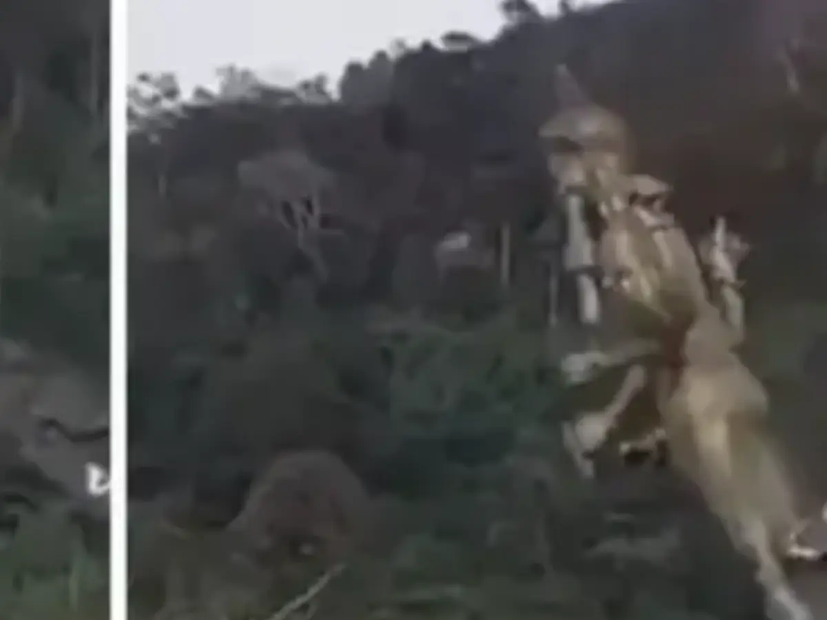 Why Thailand demolished the deity statue?