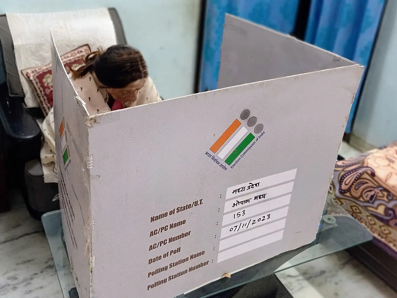 National Voters' Day 2026: Top 10 Indian state/UTs with the highest voter turnout