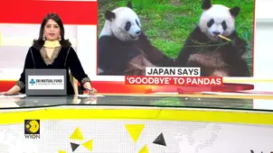 Pandas Exit Japan After Decades Amid Strained Ties With China