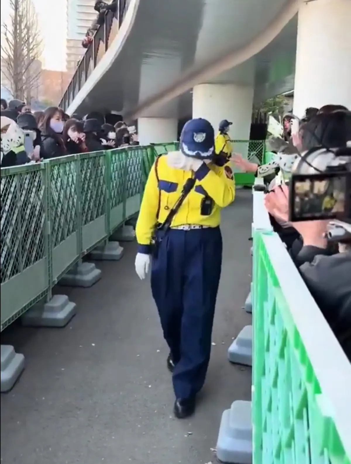 WATCH | Japan bids emotional farewell to last two pandas Xiao Xiao and Lei Lei before China return