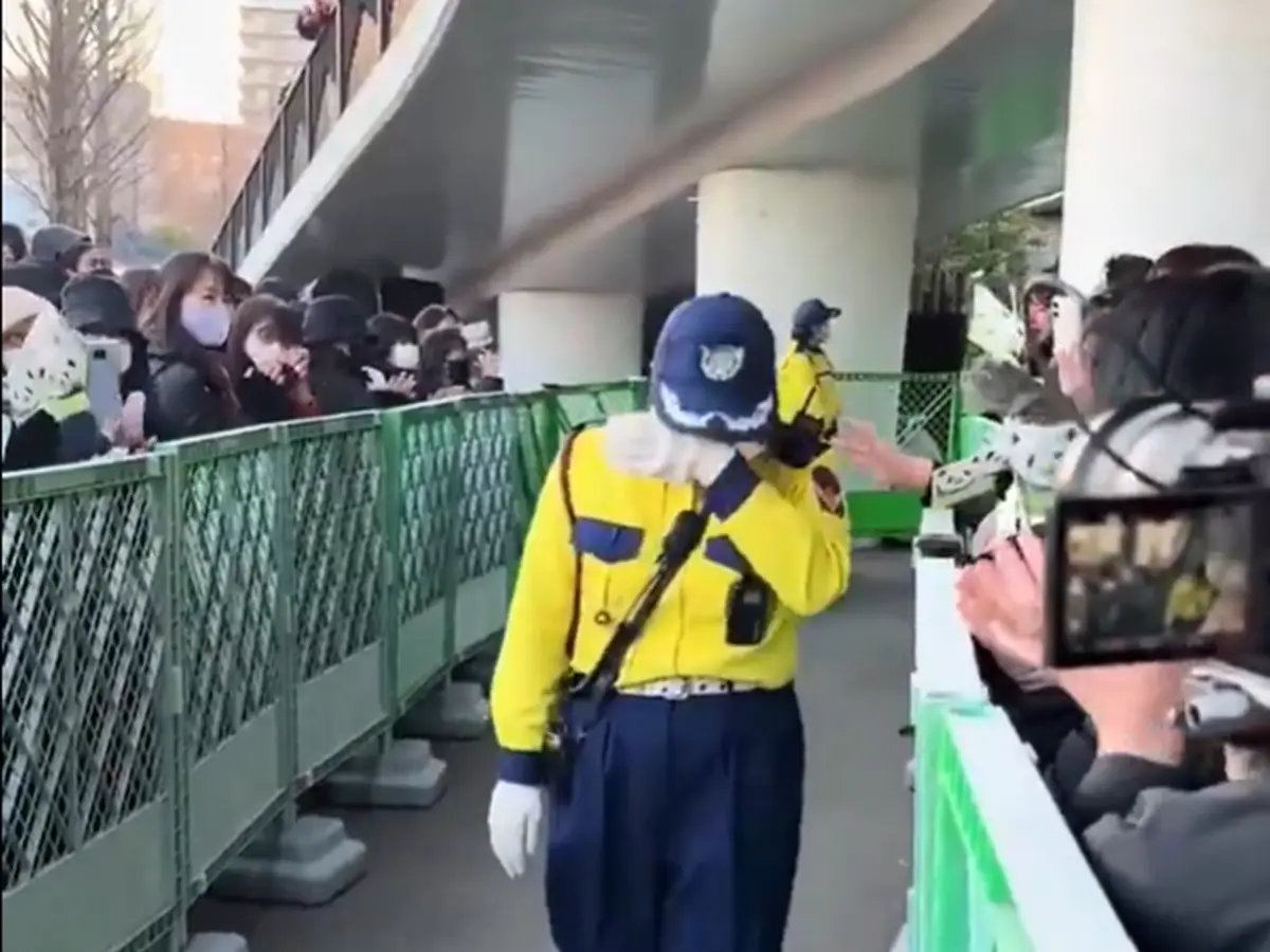 WATCH | Japan bids emotional farewell to last two pandas Xiao Xiao and Lei Lei before China return WATCH | Japan bids emotional farewell to last two pandas Xiao Xiao and Lei Lei before China return
