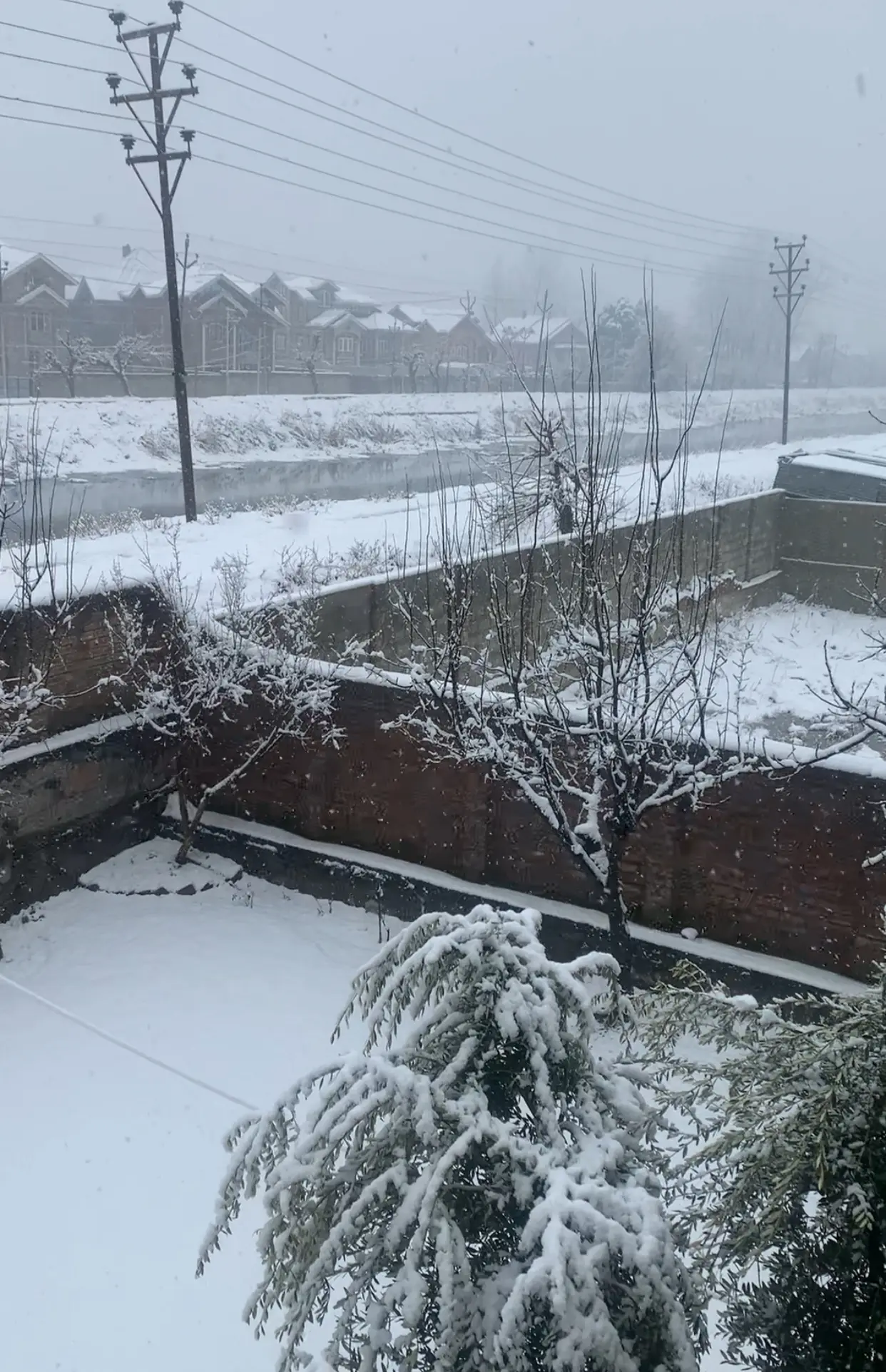Fresh snowfall disrupts life across Kashmir valley; flights cancelled, highways closed