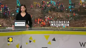 Indonesia Landslide: More Than 50 Homes Destroyed in Landslide