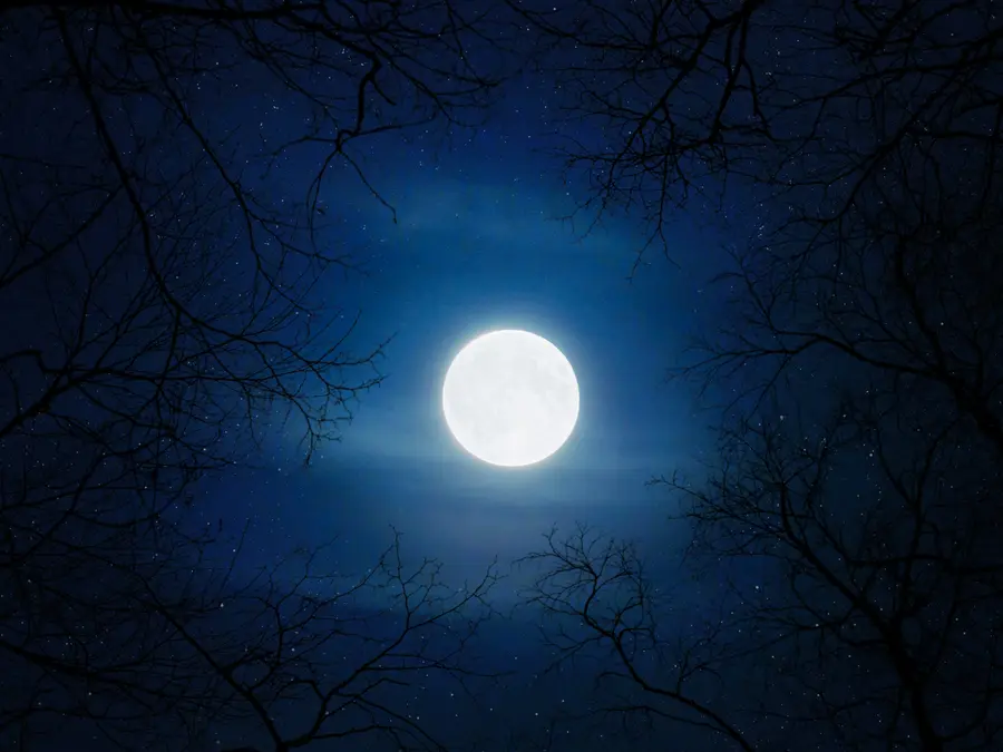Full Snow Moon 2026: No Supermoon, but it would still be one of the brightest nights. Here's why