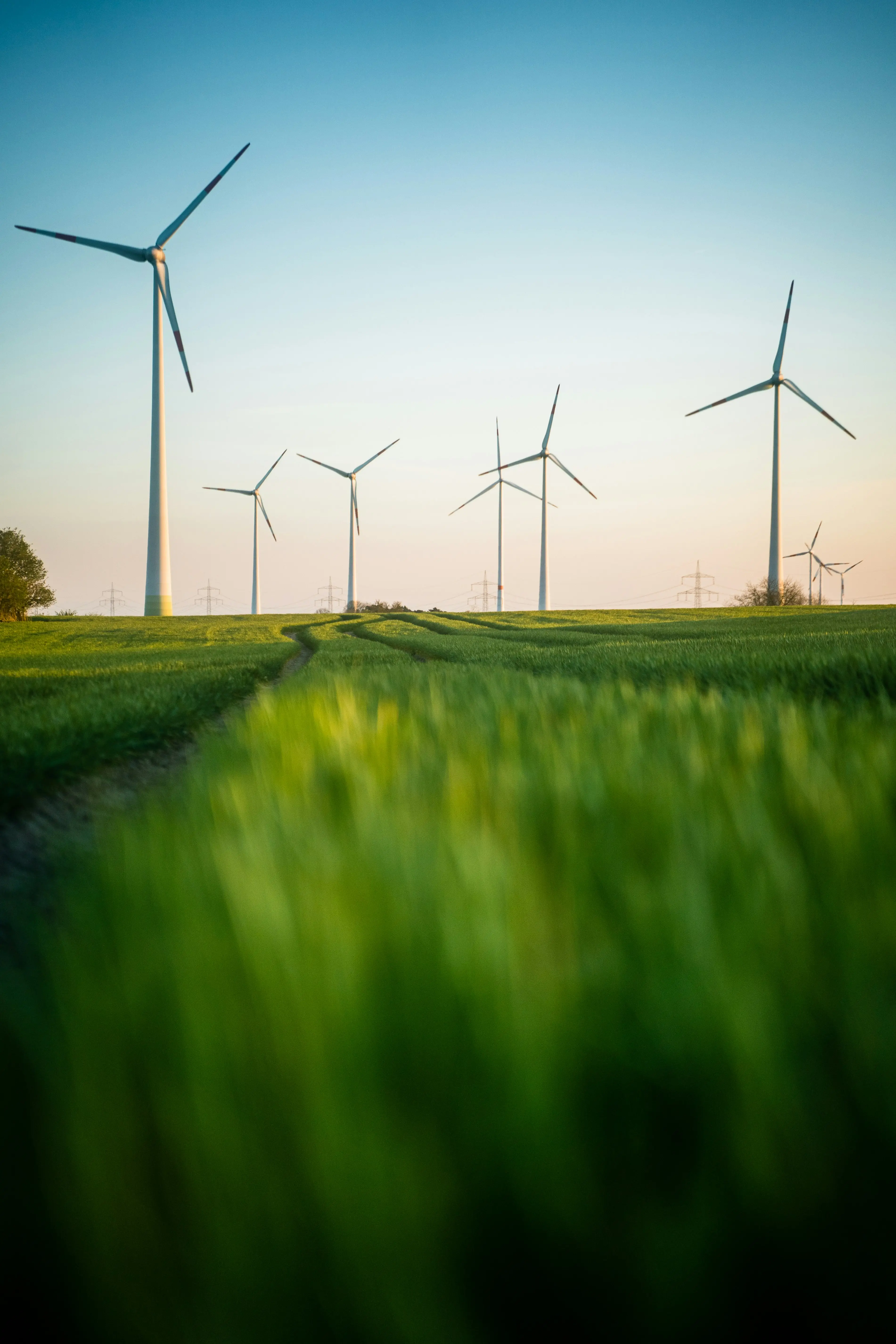 Green Energy
