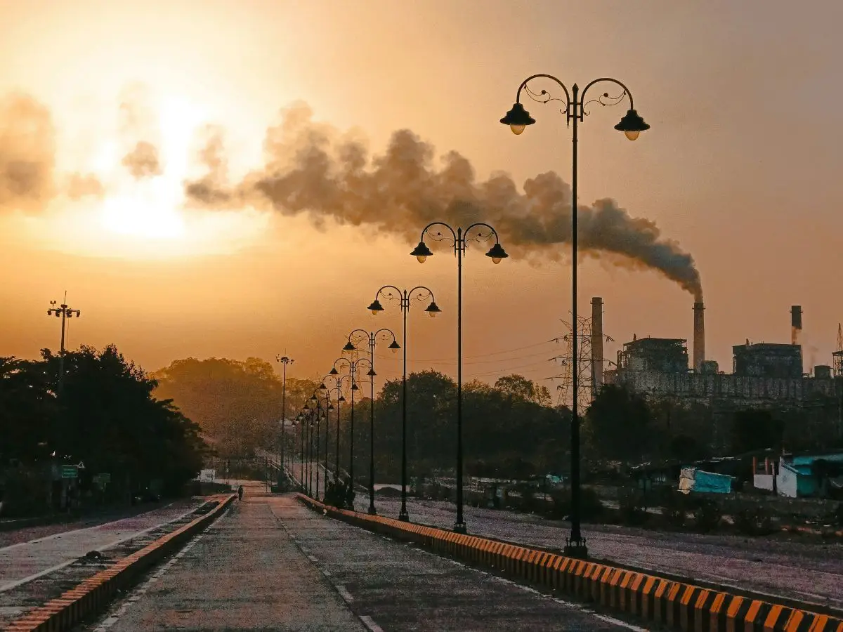 Carbon capture scheme