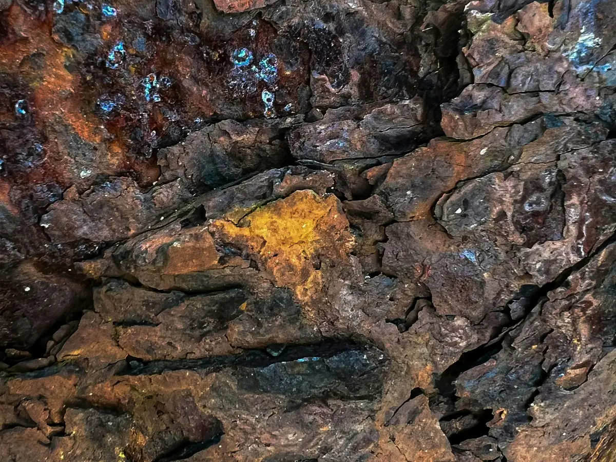 Minerals, iron ore, coal