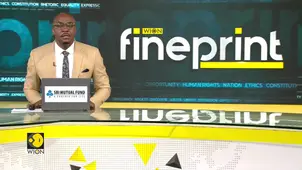 Why China Is Banning Hidden Car Door Handles? | WION Fineprint