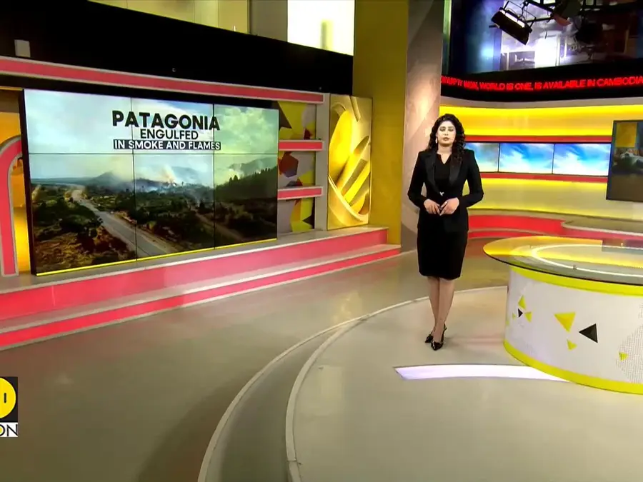 Argentina Wildfires: Patagonia Inferno Burns Over 50,000 Hectares