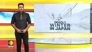 Japan Winter Crisis: Heavy Snowfall Kills Dozens in Japan as Deadly Winter Crisis Deepens 