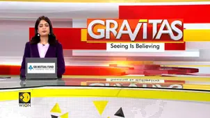 Watch a 30-foot Predator Lurking Under the Waves | Rare Sight of the World’s Largest Jellyfish 