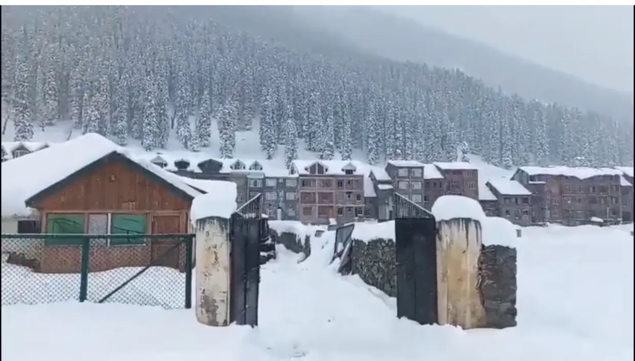 Snow returns, so do tourists: Kashmir sees tourism revival