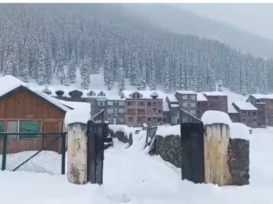 Snow returns, so do tourists: Kashmir sees tourism revival Snow returns, so do tourists: Kashmir sees tourism revival