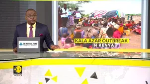 Kala-Azar Cases Surge in Kenya | Deadly Visceral Leishmaniasis Crisis
