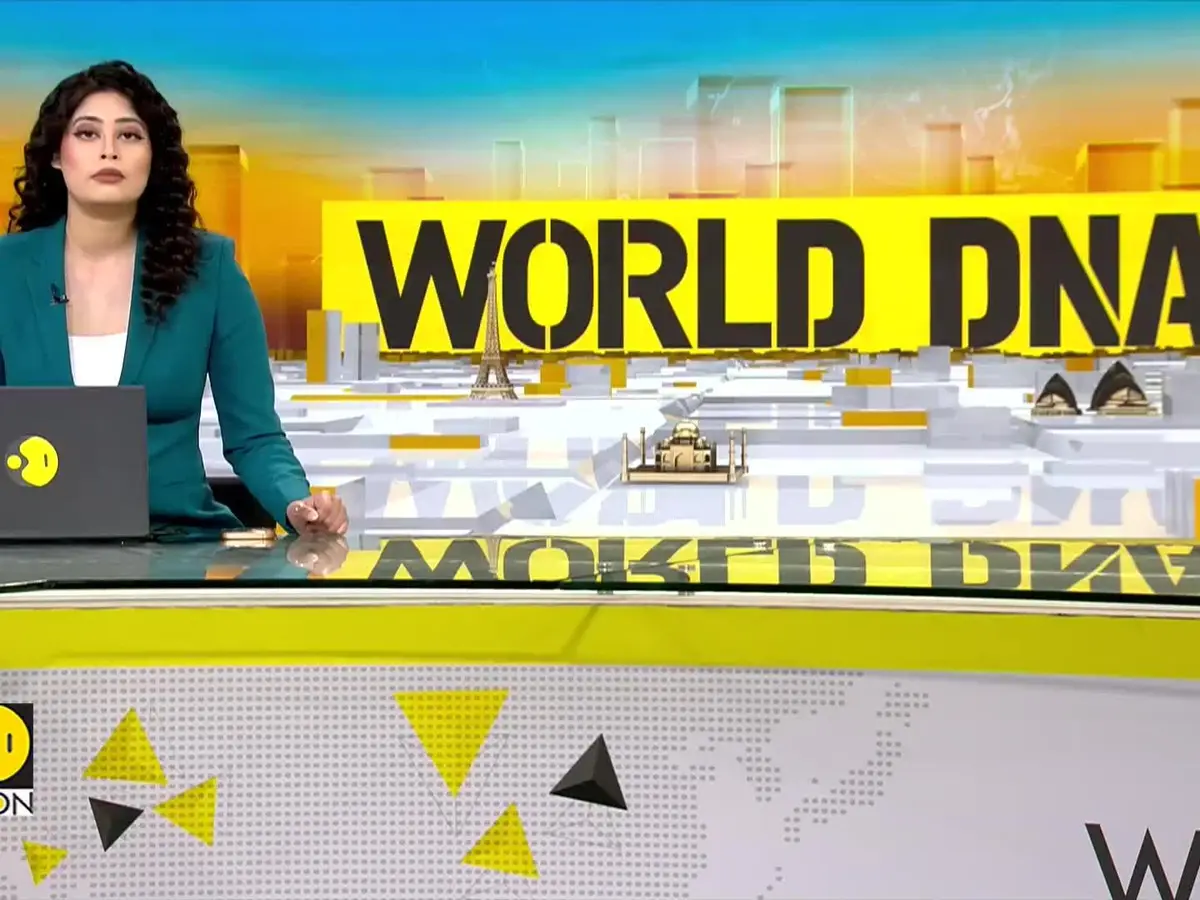 South Africa Revives Rhino, Elephant Trophy Hunts After 6-Year Ban