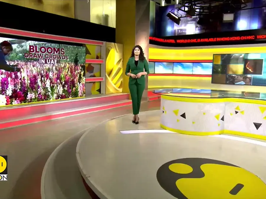 UAE: Garden Grows in Desert | Desert Mountains Bloom With Flowers 