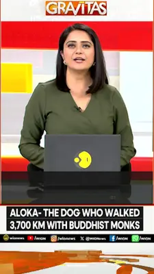 Wion News