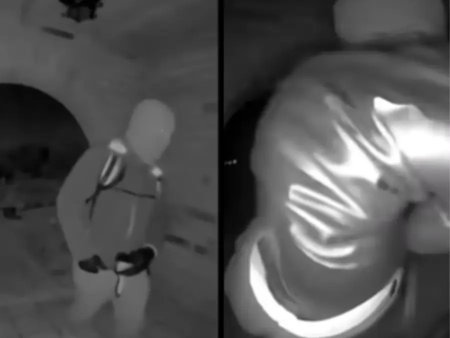 Nancy Guthrie missing case: Why release of doorbell camera footage take so long?