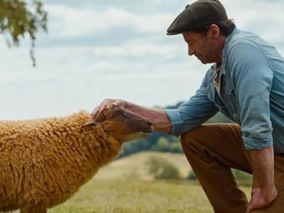 The Sheep Detectives