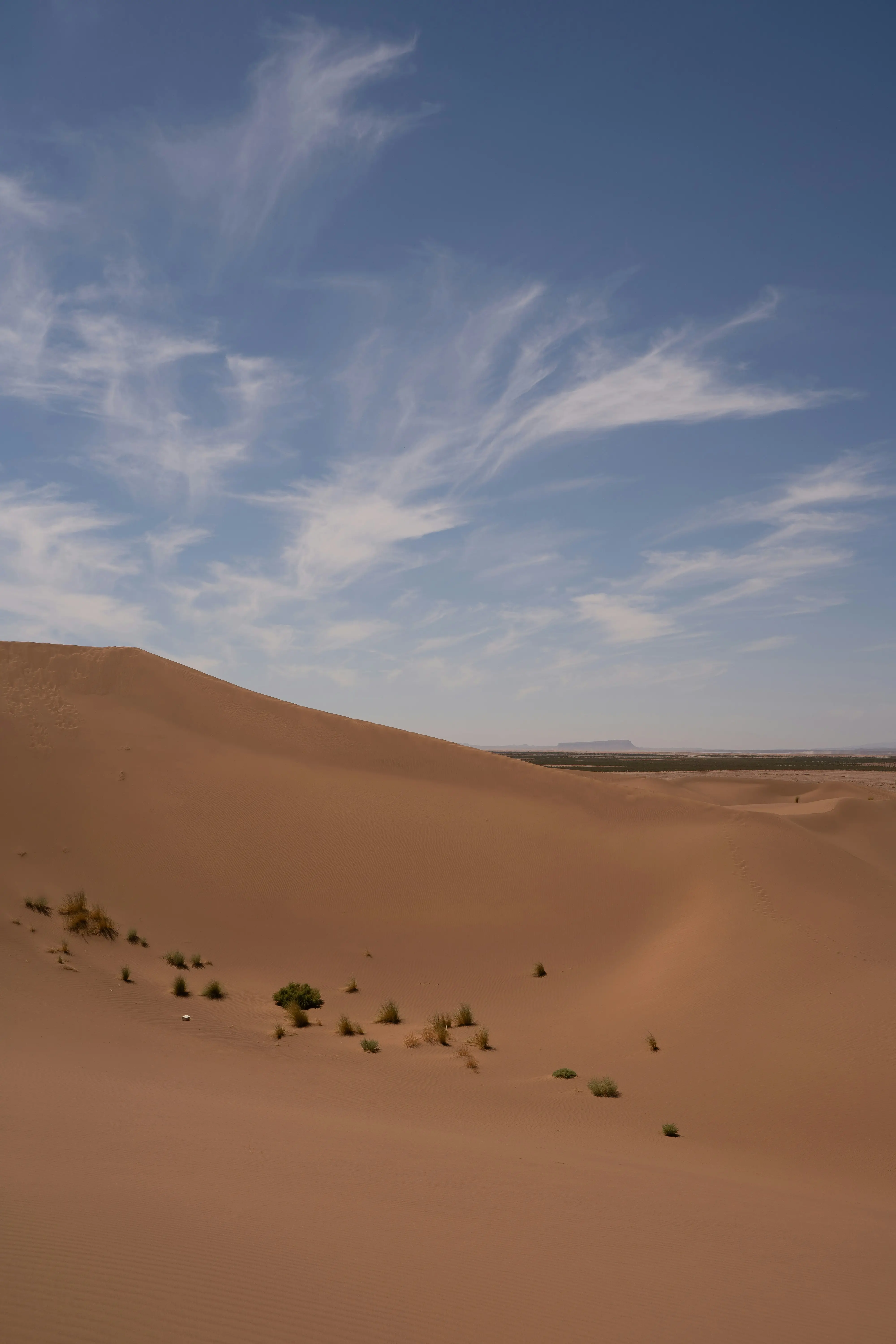 66bn trees in 48 years: China turns desert larger than Thar into a carbon sink