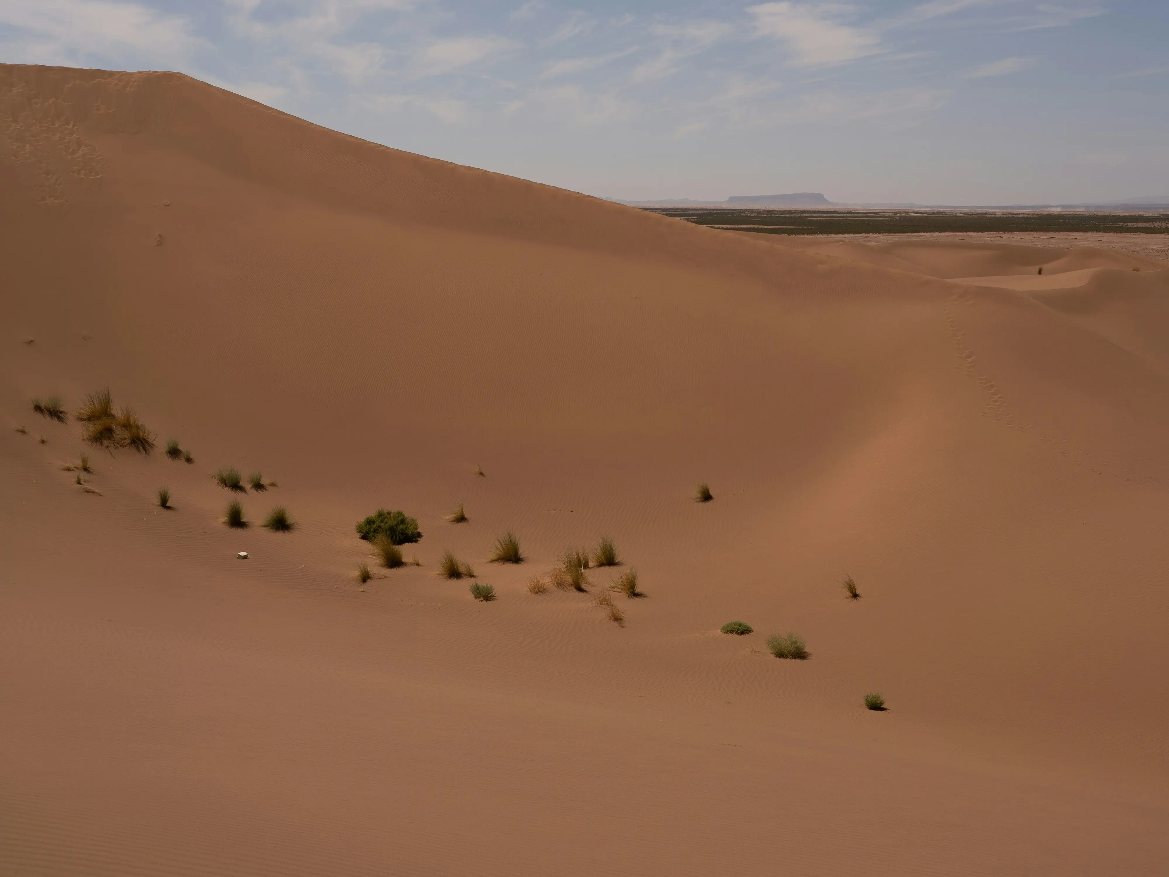 66bn trees in 48 years: China turns desert larger than Thar into a carbon sink 66bn trees in 48 years: China turns desert larger than Thar into a carbon sink