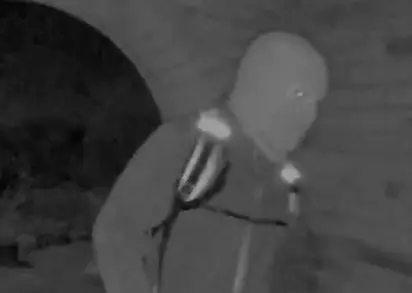 Nancy Guthrie's doorbell footage