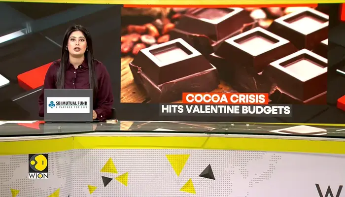 Chocolate Prices Rise 14.4% Y-O-Y in 2026