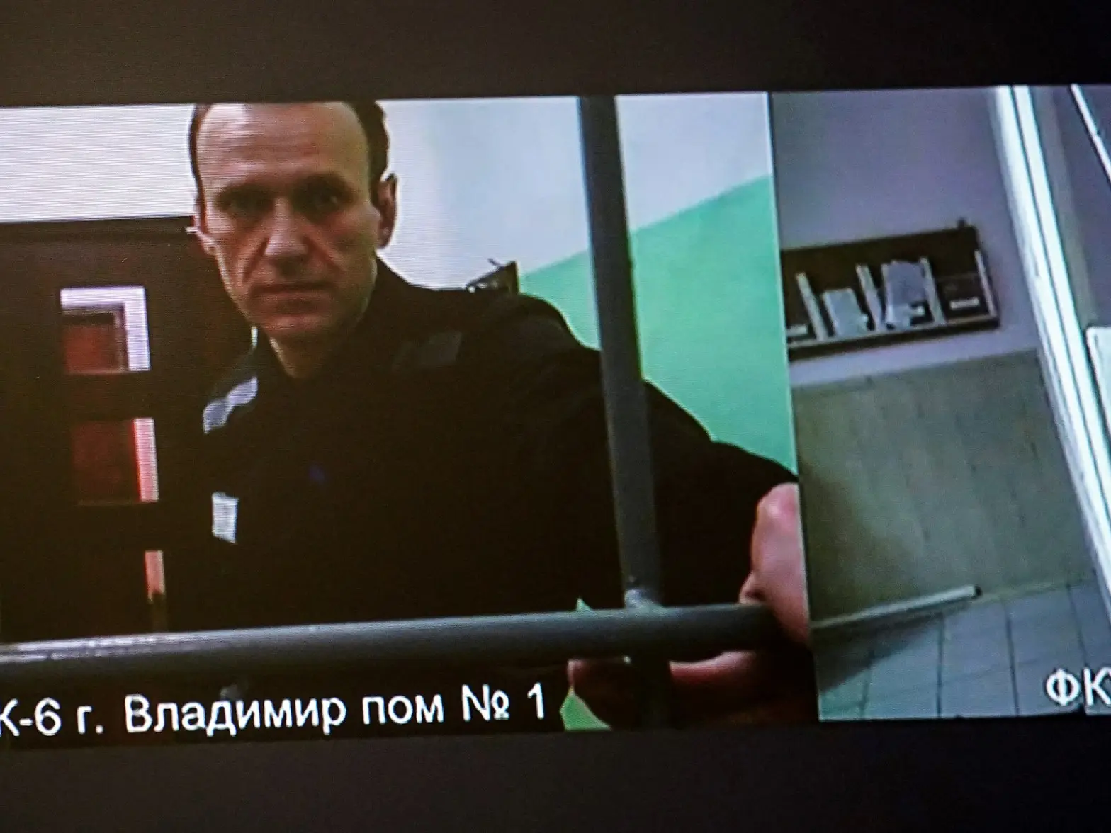 Navalny poisoning allegations: Is this the first time wildlife toxin was allegedly used in a political assassination?