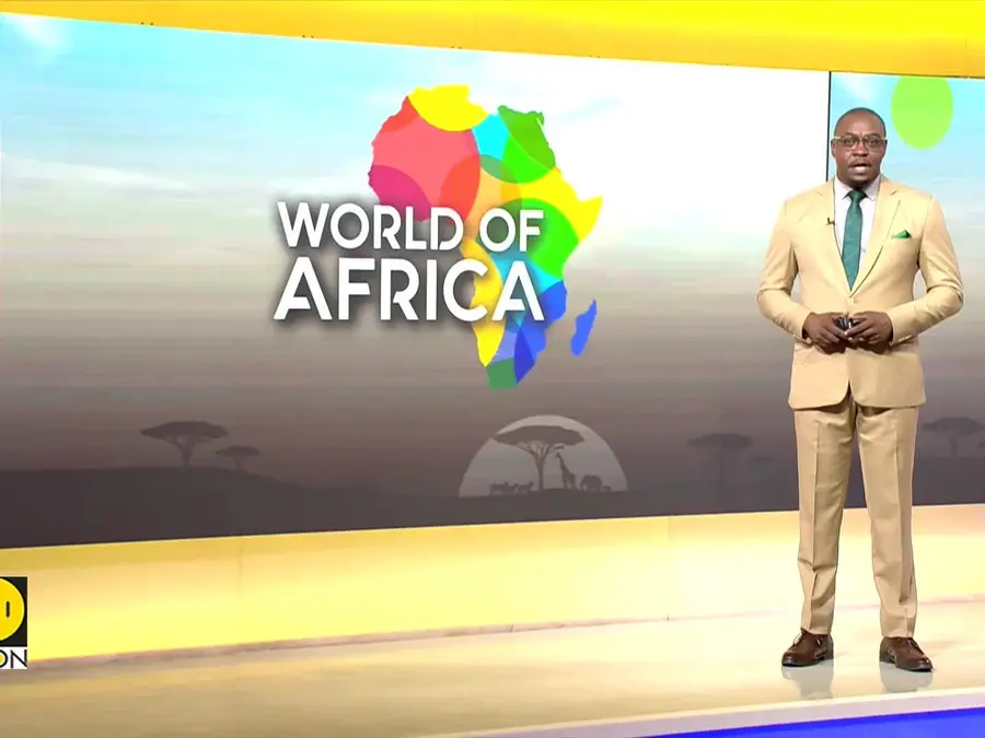Nigerian Conservative City Turns to Online Matchmaking for Love