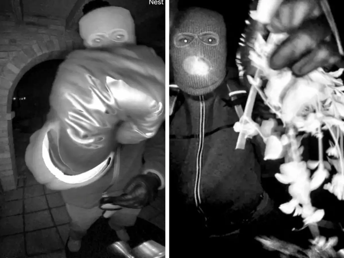 Timeline of Nancy Guthrie kidnapping case: From abduction to the DNA dead end