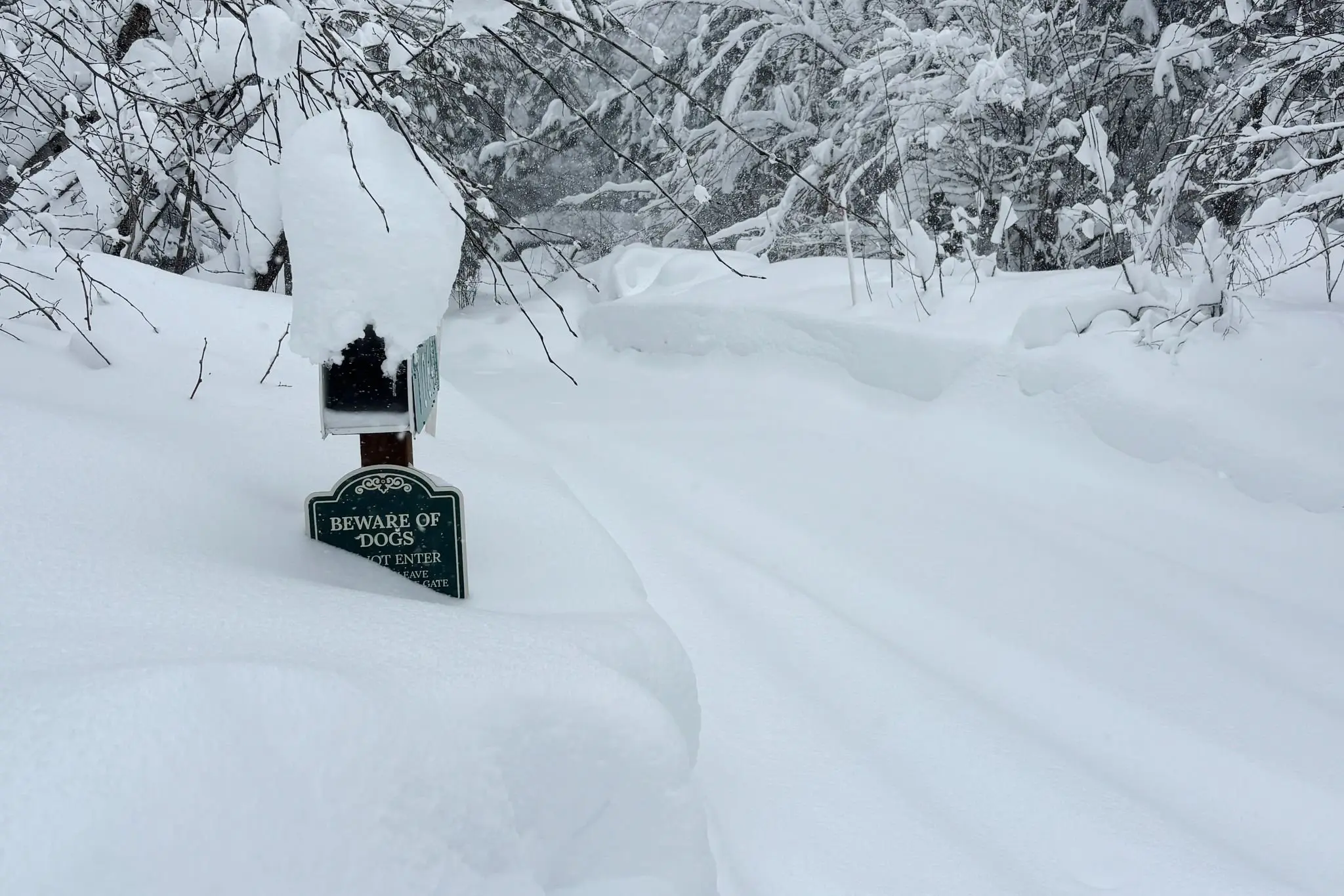 At least 10 skiers missing, 6 stranded after avalanche hits California mountains