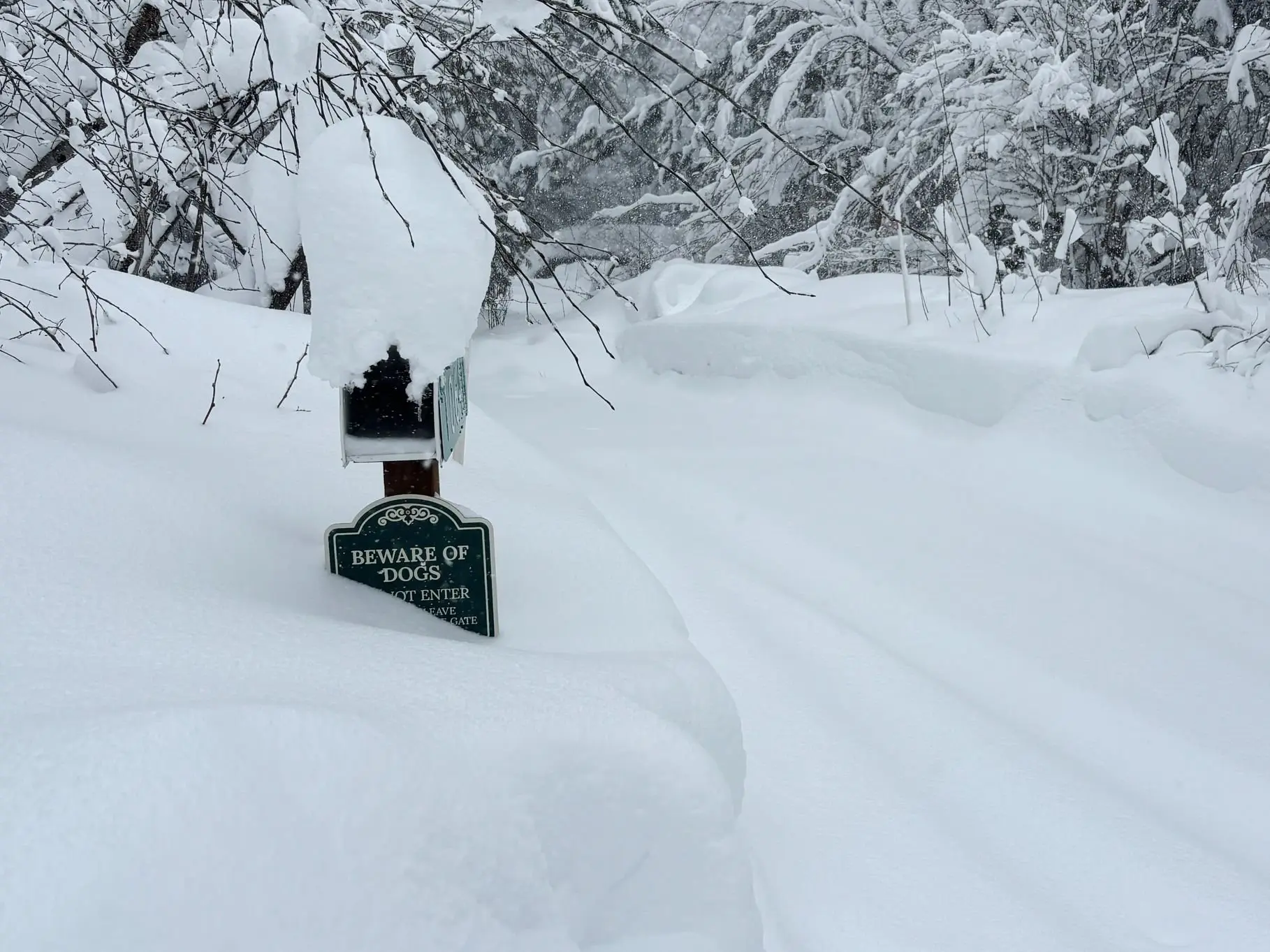 At least 10 skiers missing, 6 stranded after avalanche hits California mountains At least 10 skiers missing, 6 stranded after avalanche hits California mountains